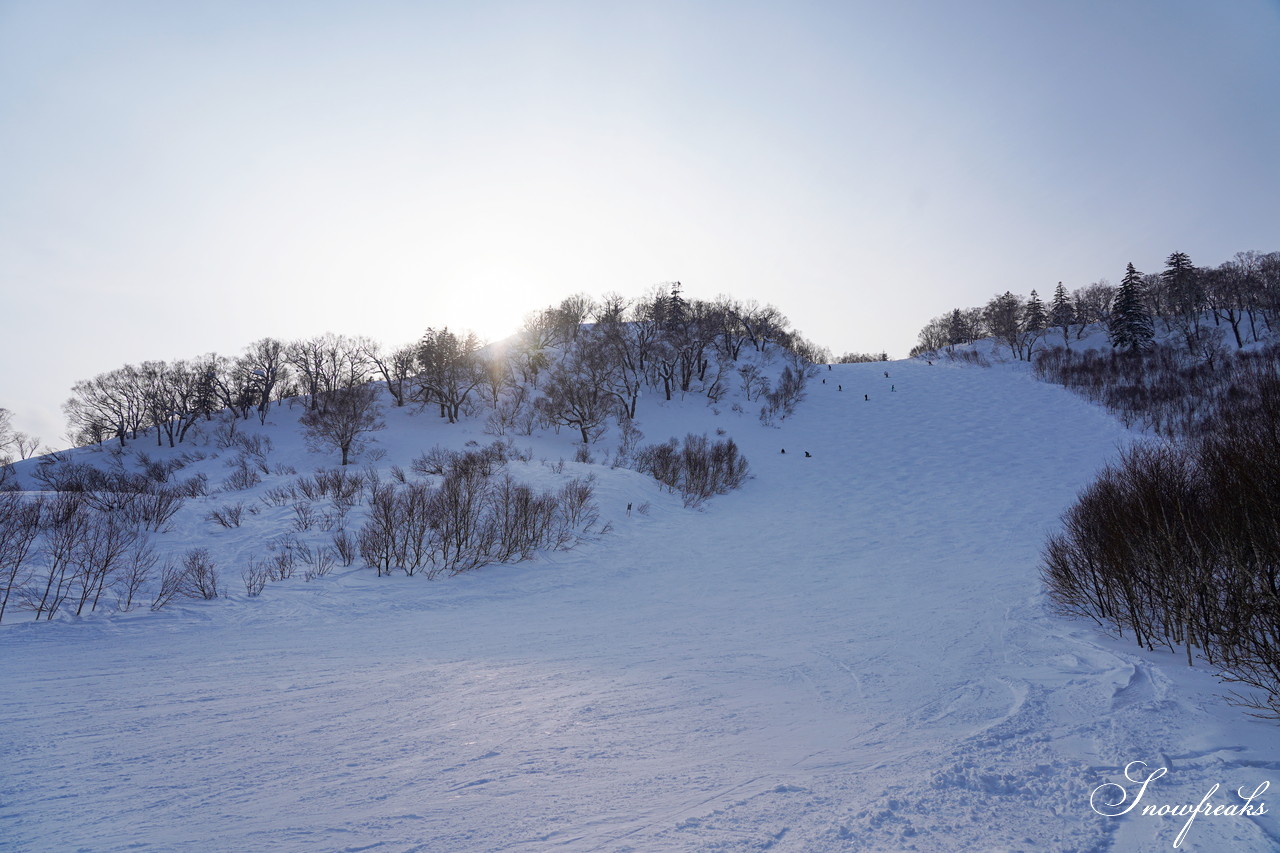 札幌国際スキー場 積雪たっぷり 300cm。コンディション良好なゲレンデでモーグル女子 ・畑田繭さんとコブコブセッション！